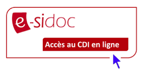 Accès à de nombreux titres de presse en ligne